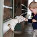 Ian Brown, 2, of Toledo, feeds a carrot to a baby goat while visiting the Domino's Petting Farm on Monday, July 1, 2013. Melanie Maxwell | AnnArbor.com